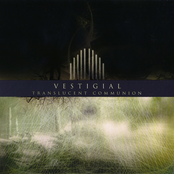 Anthropic Uncreation by Vestigial