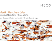 Linien Aus Nachtlicht - Organ Works