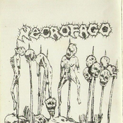 Brutal Mutilation (demo)