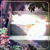 Retinal Bloom Artwork