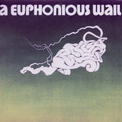 Did You Ever by A Euphonious Wail