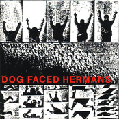 Incineration by Dog Faced Hermans