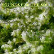 Sounds For The Soul: Sounds for the Soul 1: Guzheng and Nature