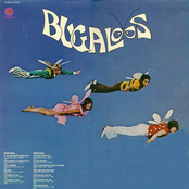 Bugaloos