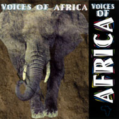 Voices Of Africa