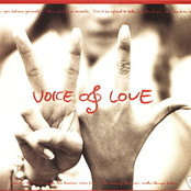 voice of love posse