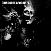 Grindcore Apocalypse: Compilation Vol.1