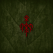 Wardruna: Runaljod – Yggdrasil