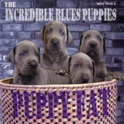 Puppy Fat