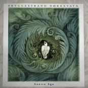 Skyggestrand nøkkevatn