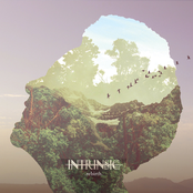 Intrinsic: Rebirth