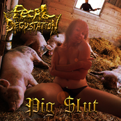 PIG SLUT