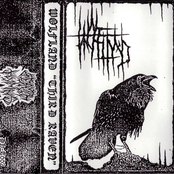 Third Raven