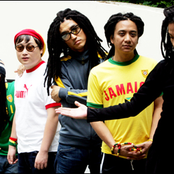 dr. reggae