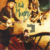 Selling The Gold by Elliott Murphy