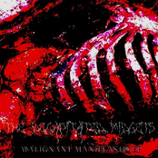 Malignant Manifeasto