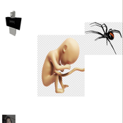 FETUS DELETUS