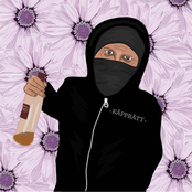 Fulla Som Vanligt...