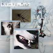 Carry Me Along, Blind Dog