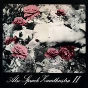 Also Sprach Zarathustra II