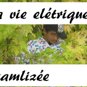 La vie électriques