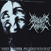 Ashes to Ashes..Pounded Into Dust