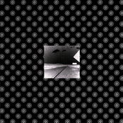 Mushroom, Echoway, Kleidose