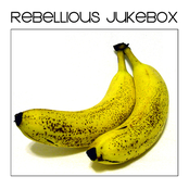 The Velvet Underground Project