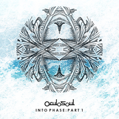 Into Phase: Part 1