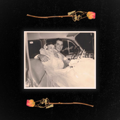 Mario Why: Their Hearts Were Full of Spring