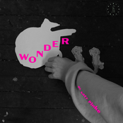 Wonder