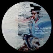 From Sunflowers And Papayas