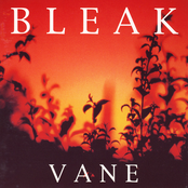 The Weather Vane by Bleak