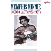 black widow stinger: the essential recordings of memphis minnie, volume 2