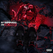Stepping In Blood