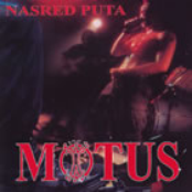 Motus: Nasred Puta