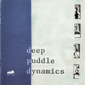 The Taste of Rain...Why Kneel