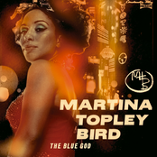 Something To Say by Martina Topley-bird