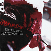 Severed Arteries Hanging Off Hooks // Demo 2025