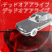 デッドオアアライブ