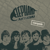 elephant anthony