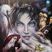 Il Lungo Cammino Dei Raminghi