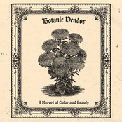 A Marvel of Color and Beauty (Deluxe)