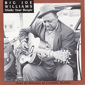 So Glad by Big Joe Williams