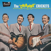 The "Chirping" Crickets