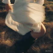 Rosa - Single
