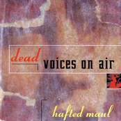 Vers by Dead Voices On Air