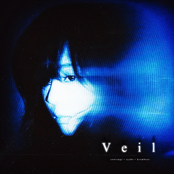 veil