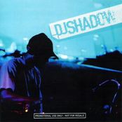 Flashback by Dj Shadow