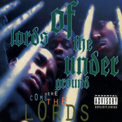 Here Come the Lords Album Picture